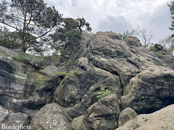 Teutoschleife Dörenther Klippen