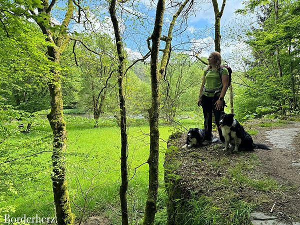 Erlebnis Ourtal: Wandern im NaturWanderPark delux mit Hund