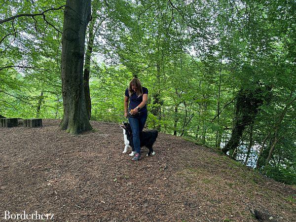 Trainingssnacks für Hunde