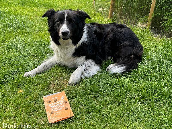 Snacks für Hunde auf Wanderungen