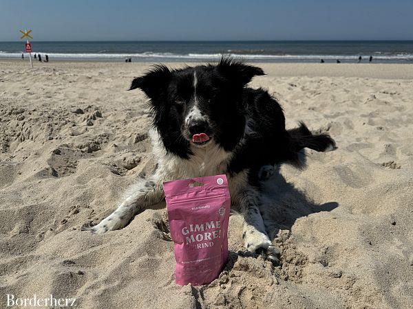 snacks fuer hunde auf wanderungen 1