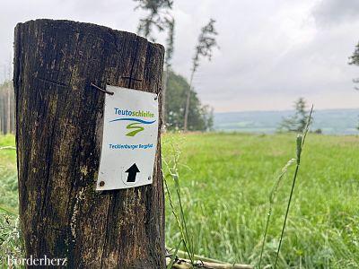 Teutoschleifen Tecklenburger Bergpfad