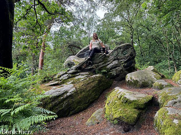 Teutoschleifen Tecklenburger Bergpfad