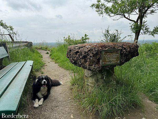 Teutoschleifen Tecklenburger Bergpfad