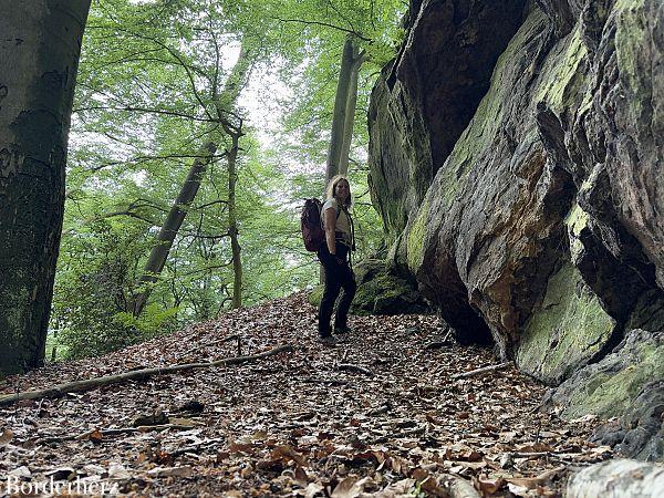 Teutoschleifen Tecklenburger Bergpfad