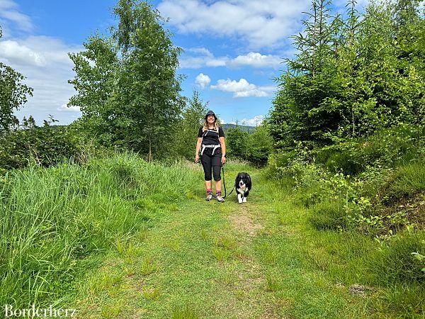 Wandern mit Hund