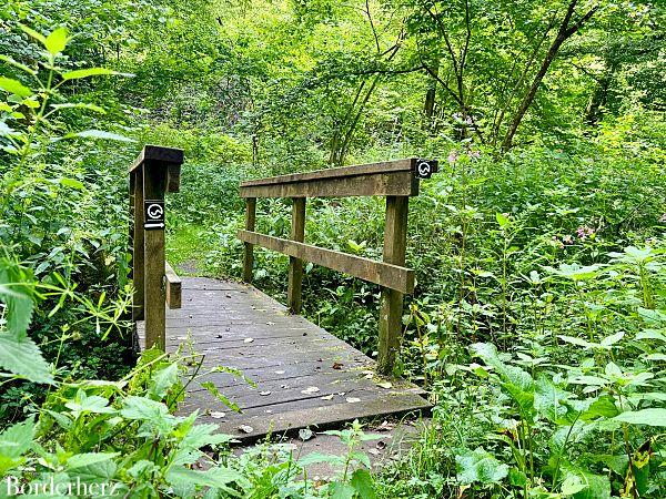 Wandern mit Hund in Siegen-Wittgenstein