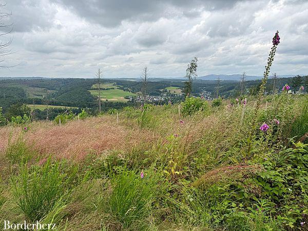 Blick über das Wittgensteiner-Land