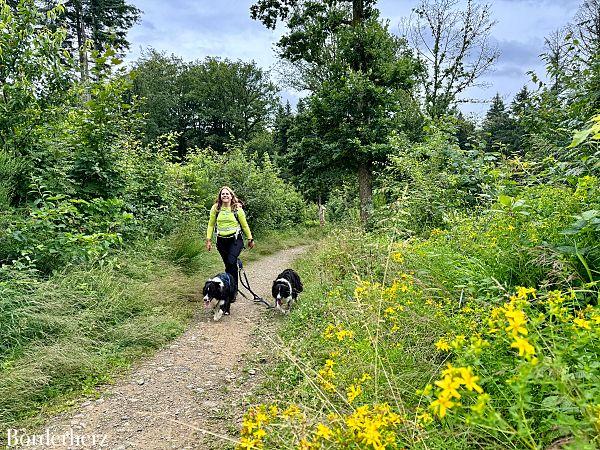 Wanderungen mit Hund in Siegen-Wittgenstein