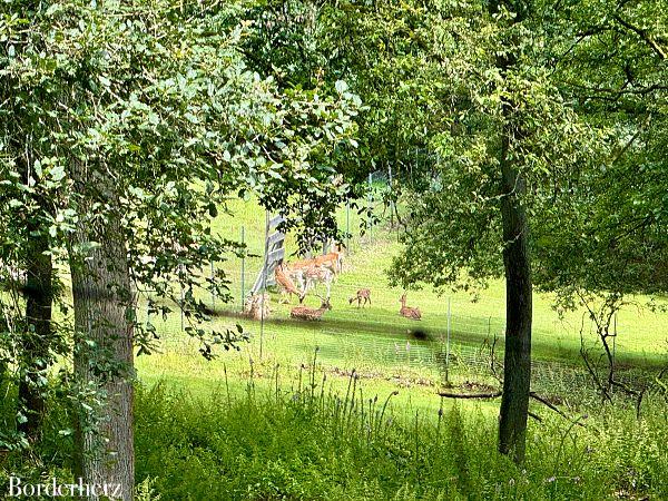 Wildgehege Siegen