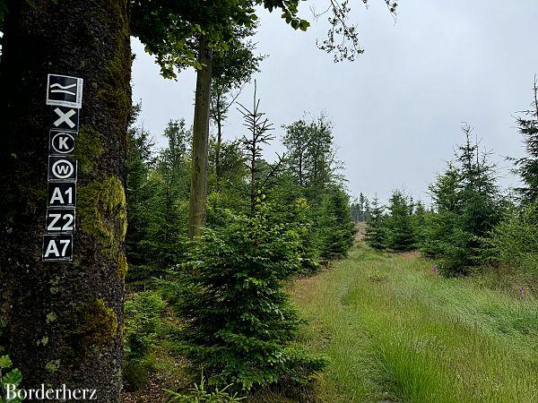 wanderungen mit hund in siegen-wittgenstein