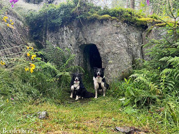 wandern mit hund in siegen-wittgenstein