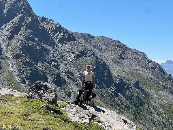 osttirol mit hund