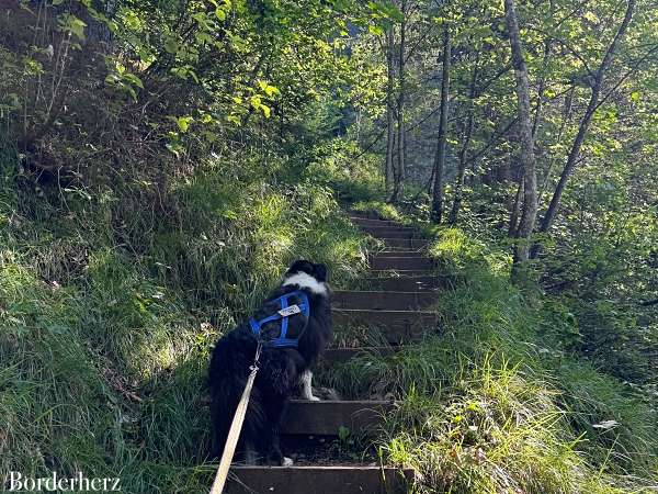 wandern im kaiserwinkl