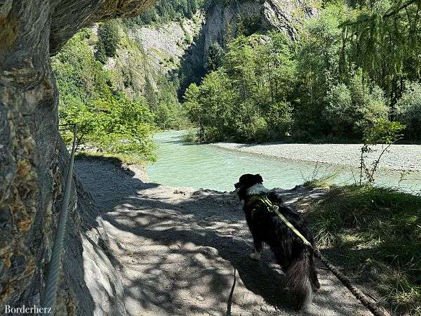 Wandertipps zum Wandern mit Hund