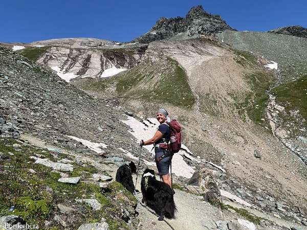 osttirol mit hund