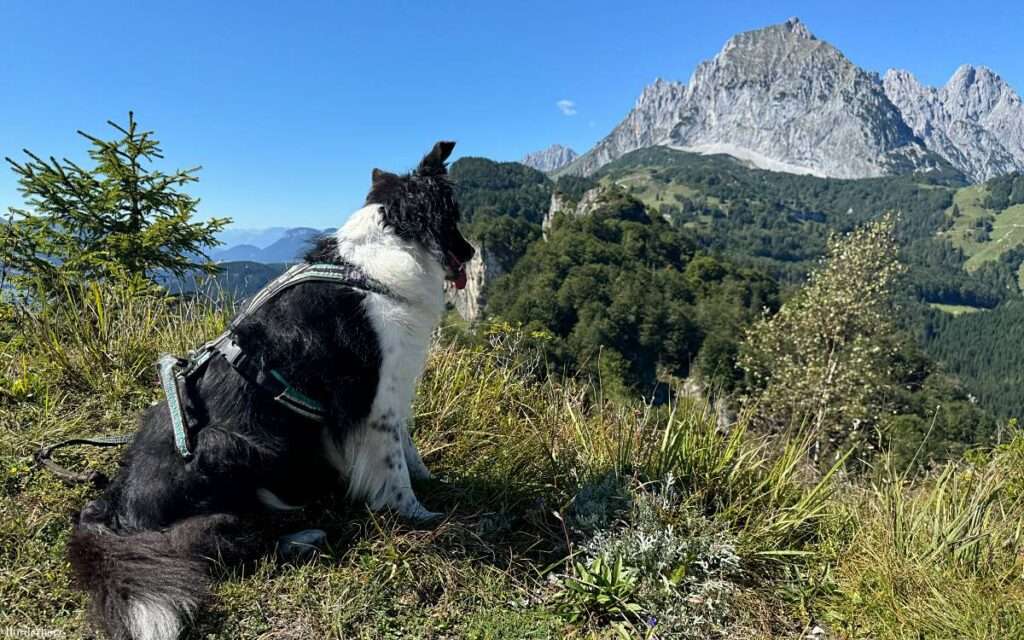 wandern st. johann bacheralm