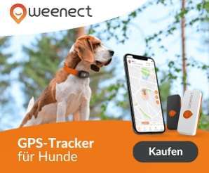 weenect gps tracker borderherz erfahrungen