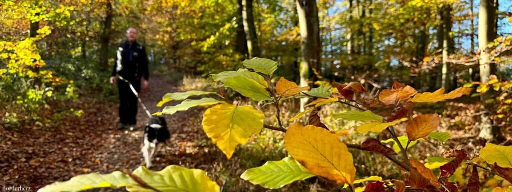 wandern mit hund im ruhrgebiet