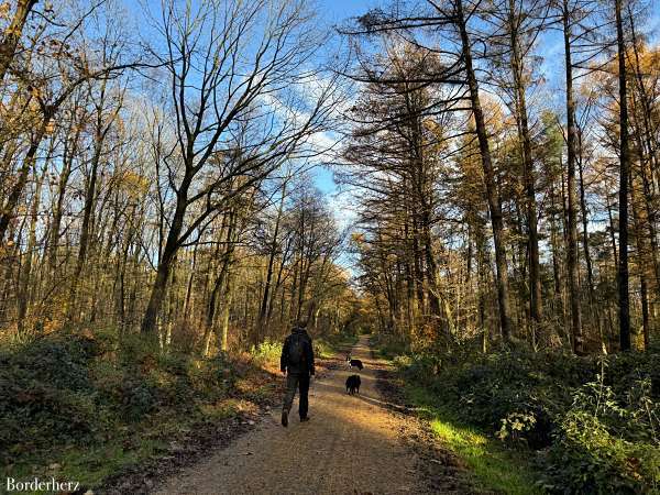 wandern mit hund im ruhrgebiet