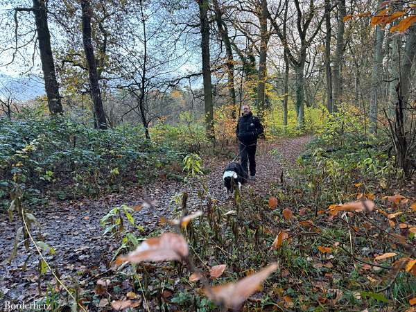 wandern im ruhrgebiet mit hund