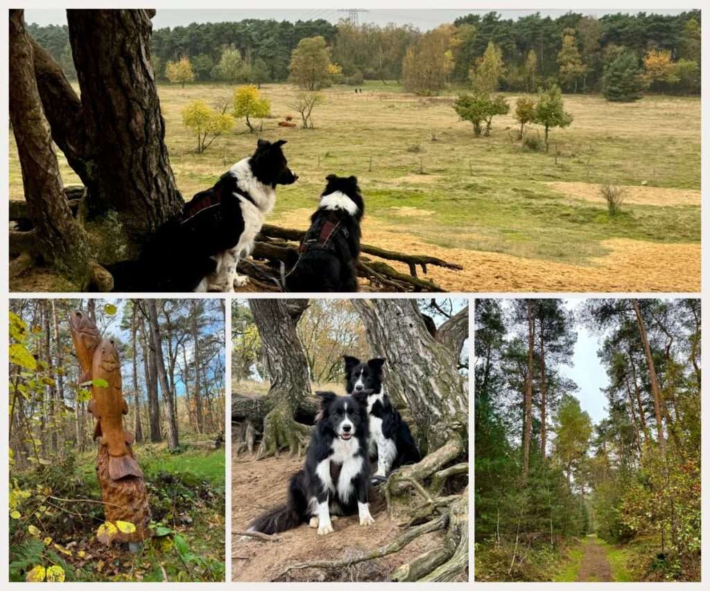 wandern im ruhrgebiet mit hund