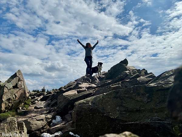 Wolfswarte Harz