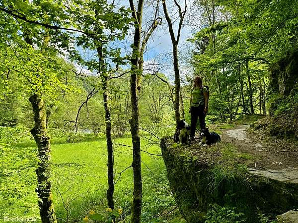 Wandern in der Südeifel